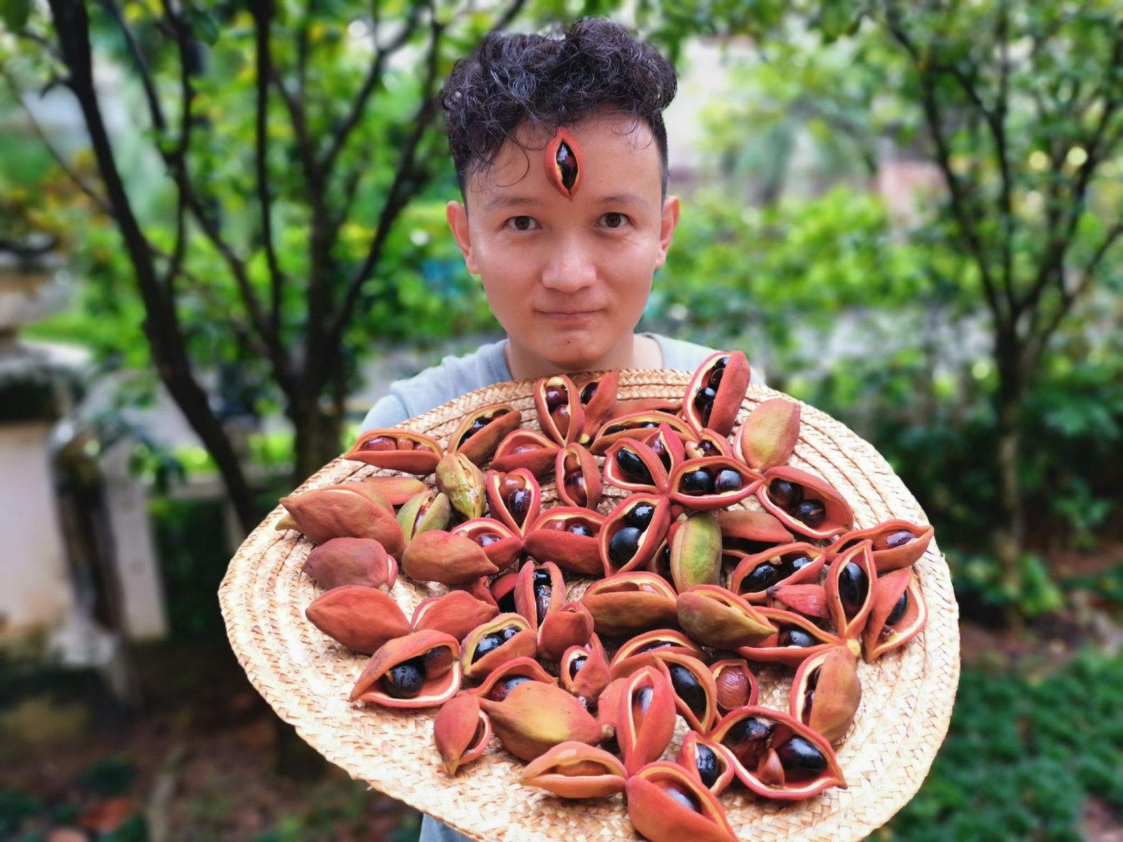 Rare fruits hunter Yang Xiaoyang