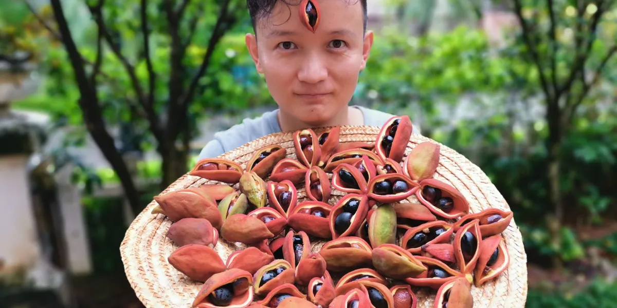 Rare fruits hunter Yang Xiaoyang