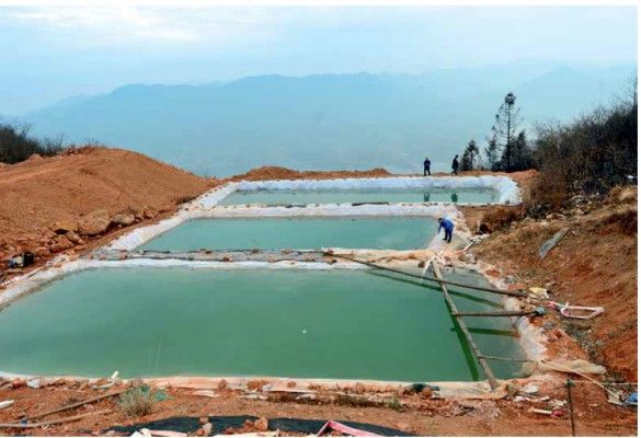 Gold is washed through huge vats of cyanide in Hubei Province, a process that, if not done correctly, can cause devastation to local wildlife