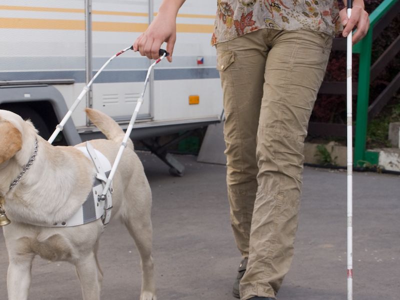 guide-dogs.png