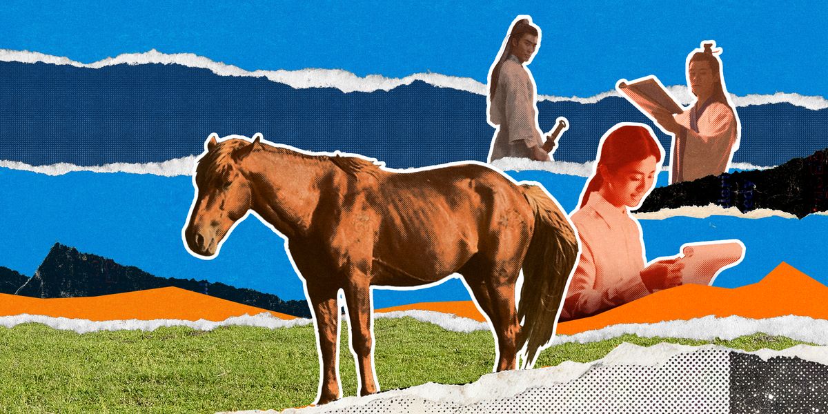 horse as talent-cover