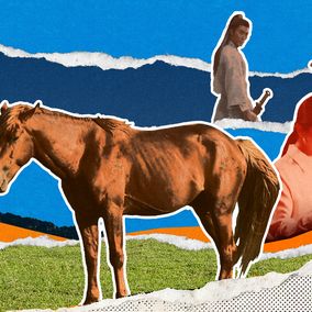 horse as talent-cover