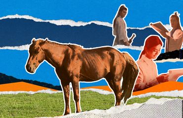 horse as talent-cover