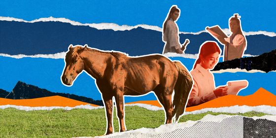 horse as talent-cover