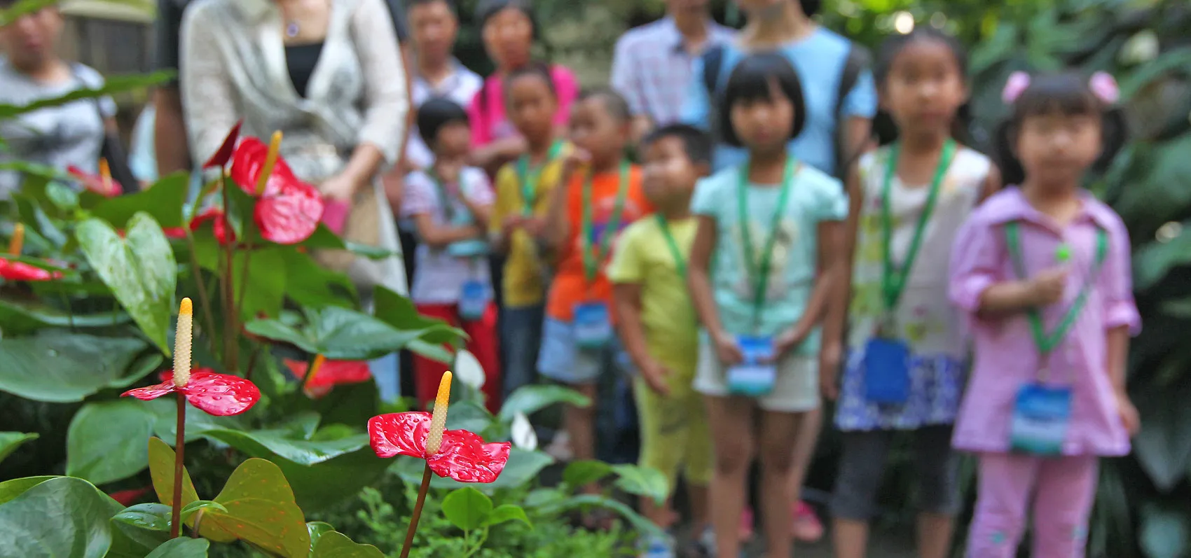 kids and nature cover-VCG11469126516