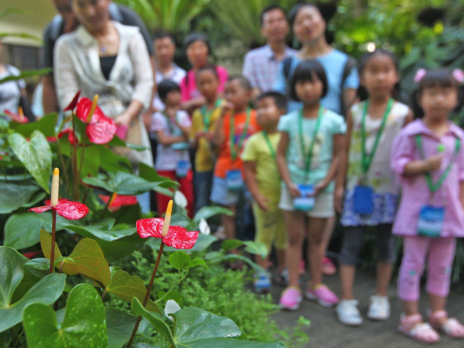 kids and nature cover-VCG11469126516