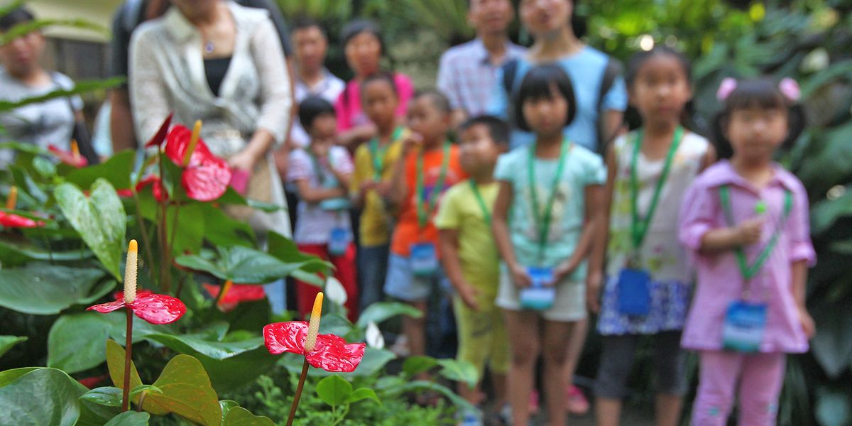 kids and nature cover-VCG11469126516