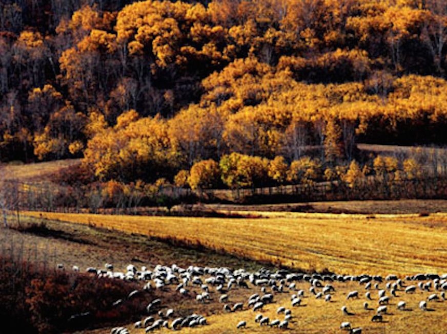 magic-in-inner-mongolia.png