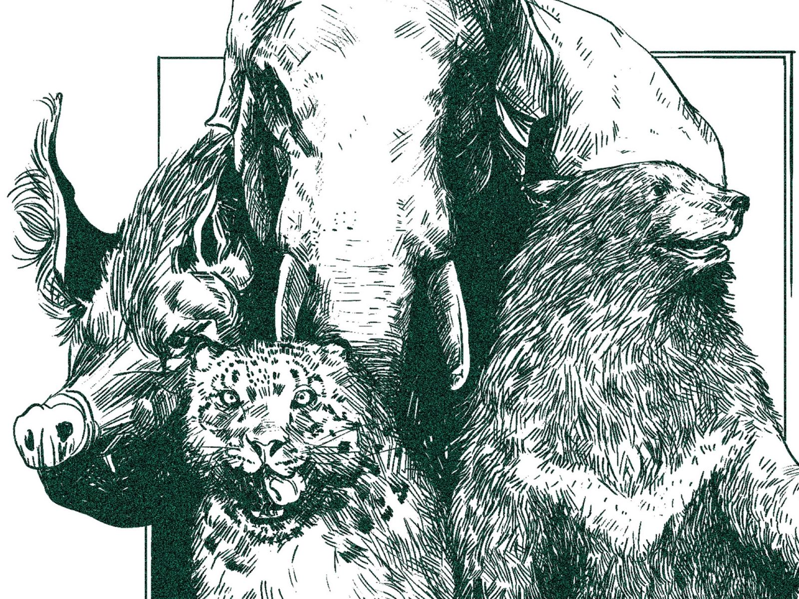 mammals cover