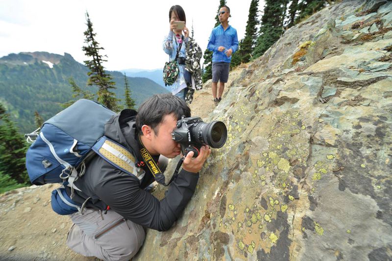 Zhang taking photos of lichen on Mount Rainier in the US, 2017