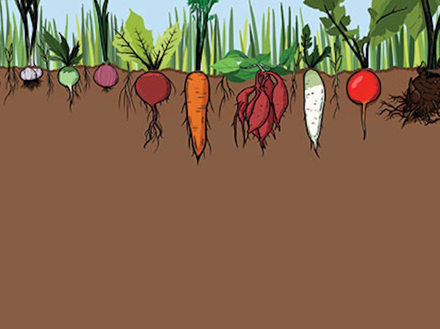 organic-awakening-MB.png