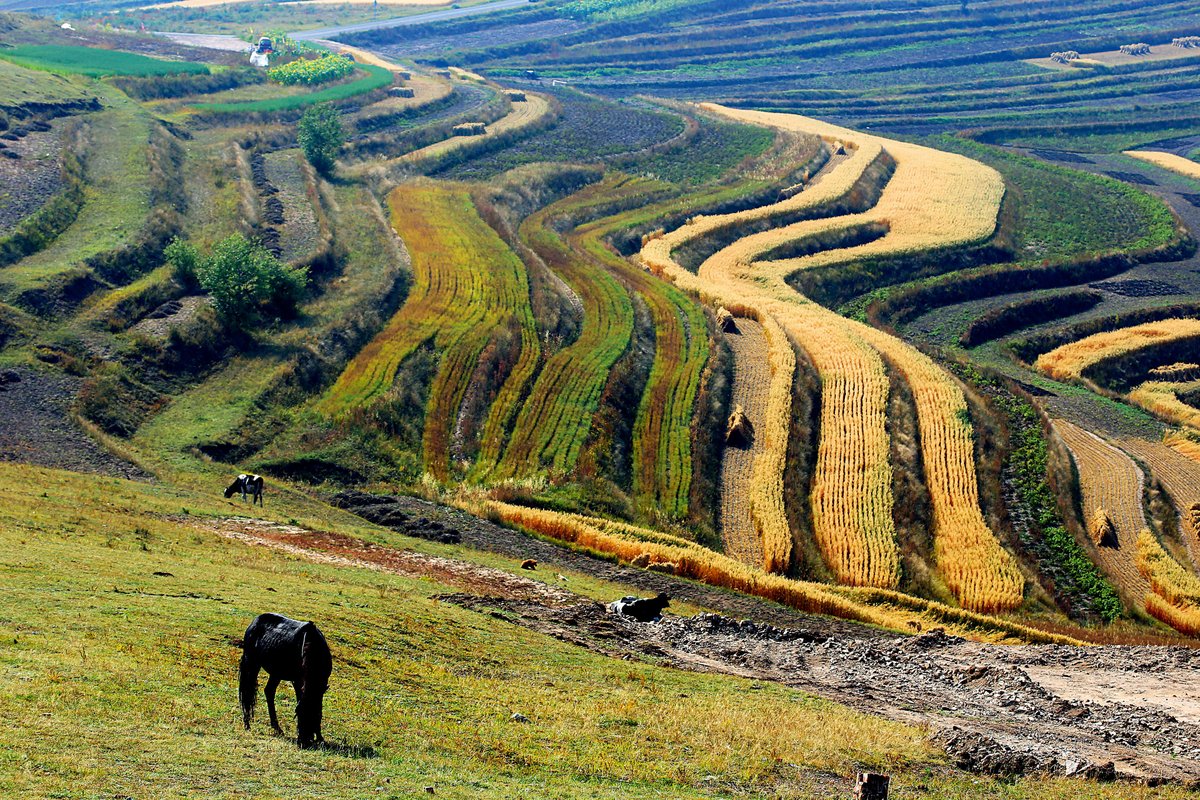 Terraces on the Zhangbei prairie, olympic city Zhangjiakou