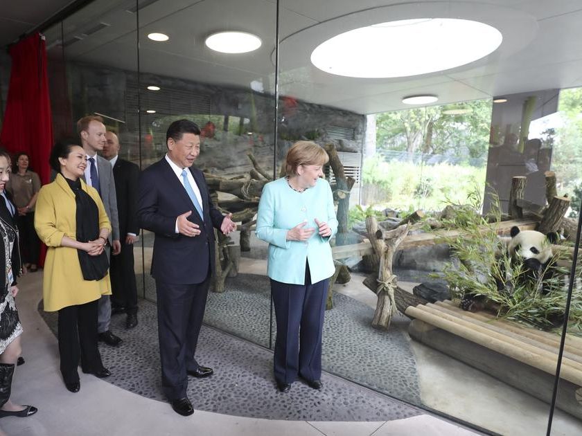 panda-merkel-xi.jpg