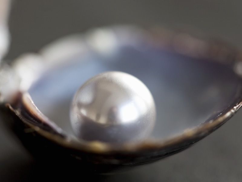pearl, clam, chengyu about pearl