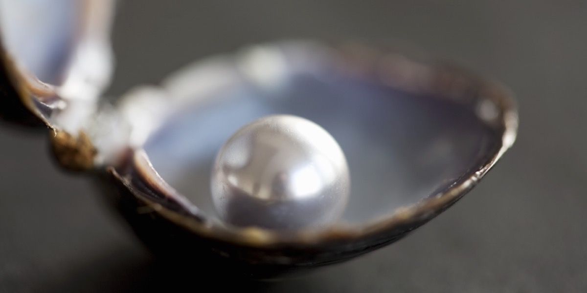 Learn Chinese Proverbs About Pearls The World of Chinese