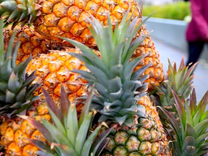 pineapple express, viral week, what went viral in china, week in china news, china's new divorce laws, china's new civil code, death of ride-hailing passenger, top viral news in china this week