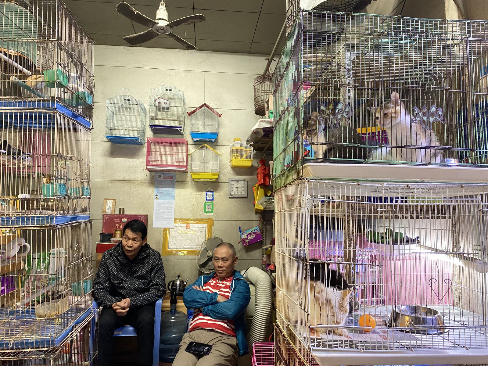 poor environment pet store- Fujian