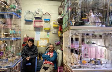 poor environment pet store- Fujian