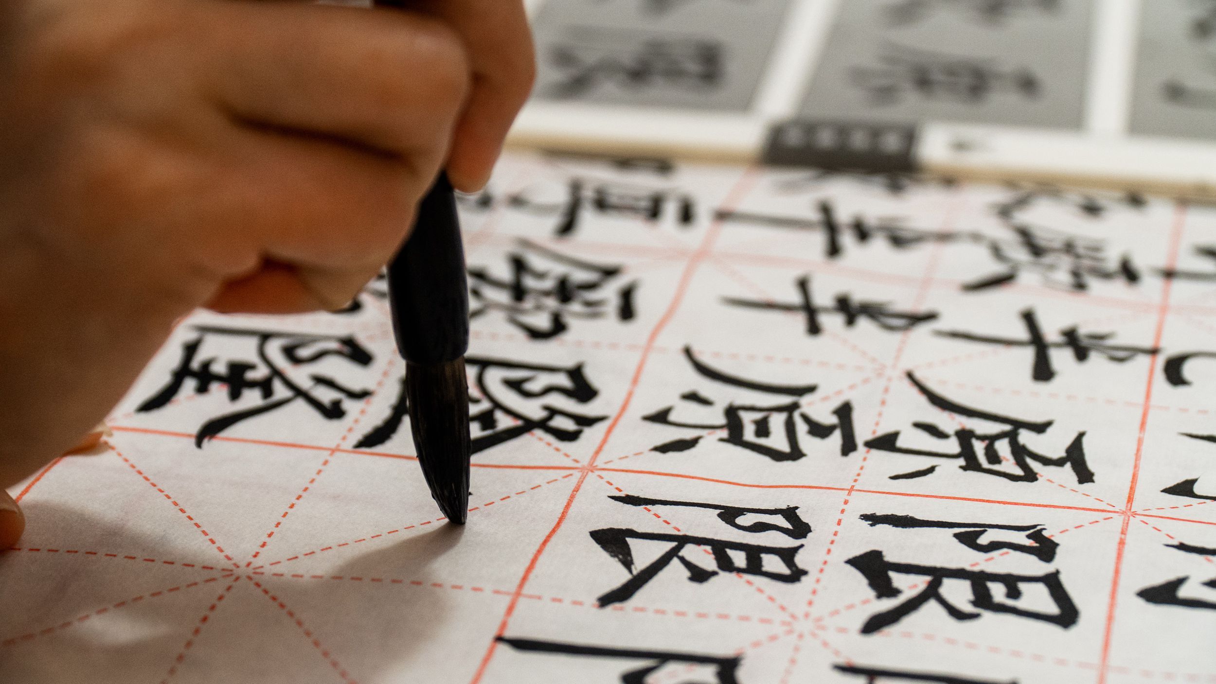 Chinese Pandian's Words of 2018