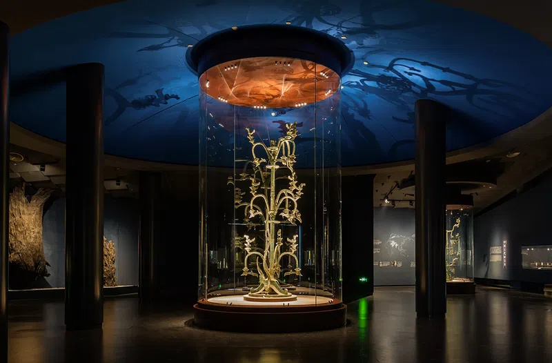 An intricate bronze tree statue almost four meters tall excavated from Sanxingdui Ruins displayed in a glass case in the Sanxingdui Museum in Guanghan, Sichuan province