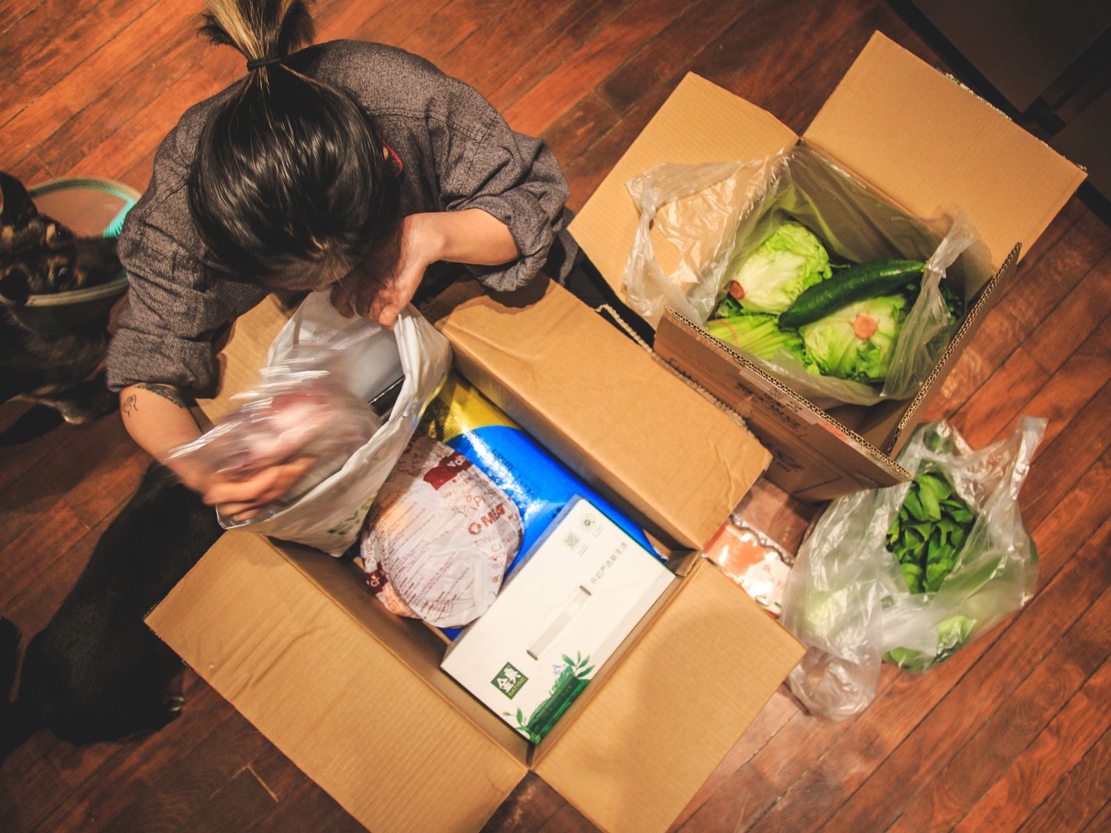 shanghai nicoco-0114