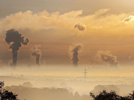 smog-master-1.jpg