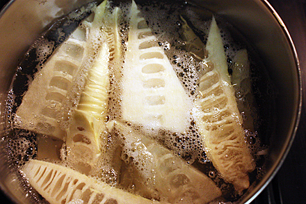 spring-bamboo-boiling