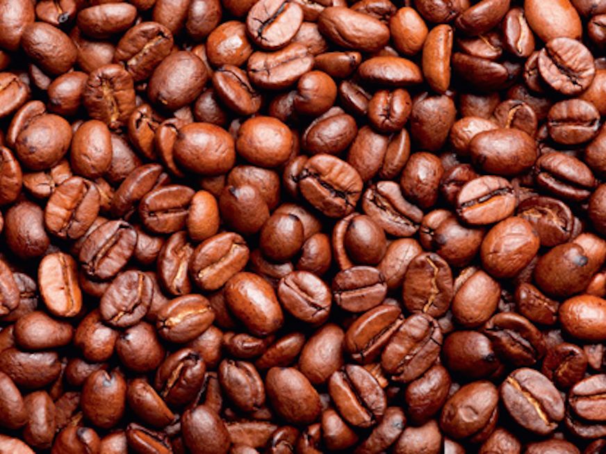 the-bitter-coffee-of-hainan-MB.png