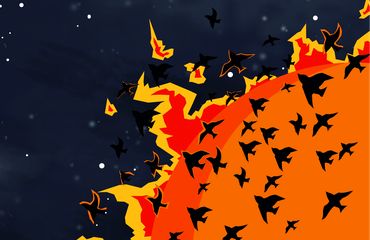 the flame.cover