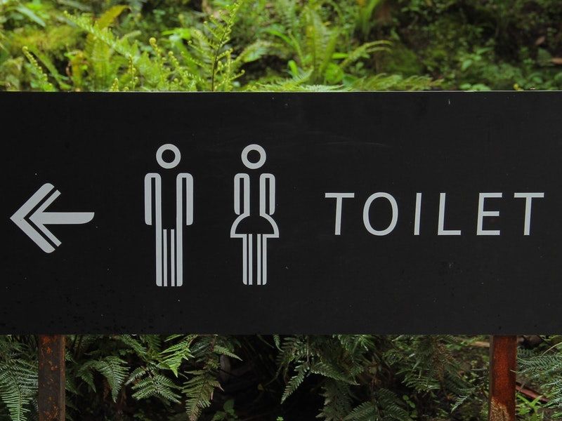 toilet-master.jpeg