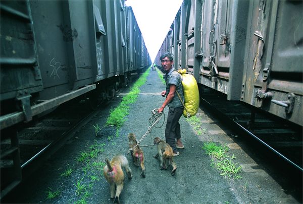 Train-hopping with monkeys and performers in 2004 at the Beijing South Railway station