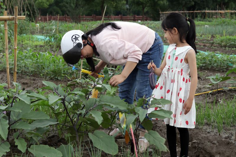 Renters tending to their vegetable plot in Qing’an Shared Farm in suburban Shanghai