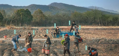 viral farming-tv poster-cover