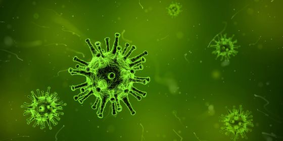 virus-cells-in-green-dye.jpg