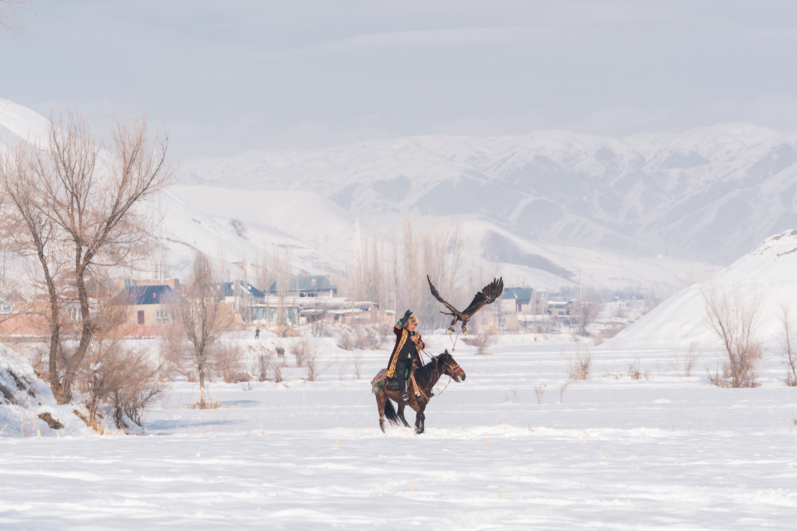 The Last Falconers in the Altai Mountains over